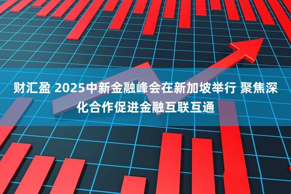 财汇盈 2025中新金融峰会在新加坡举行 聚焦深化合作促进金融互联互通