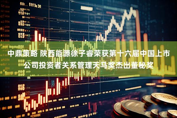 中鼎策略 陕西能源徐子睿荣获第十六届中国上市公司投资者关系管理天马奖杰出董秘奖