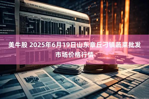 美牛股 2025年6月19日山东章丘刁镇蔬菜批发市场价格行情