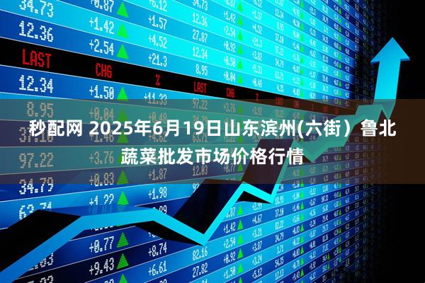 秒配网 2025年6月19日山东滨州(六街)鲁北蔬菜批发市场价格行情
