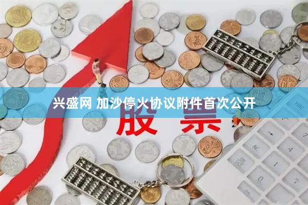 兴盛网 加沙停火协议附件首次公开
