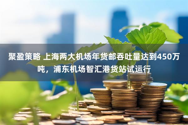 聚盈策略 上海两大机场年货邮吞吐量达到450万吨，浦东机场智汇港货站试运行